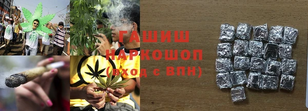 прущие грибы Алзамай