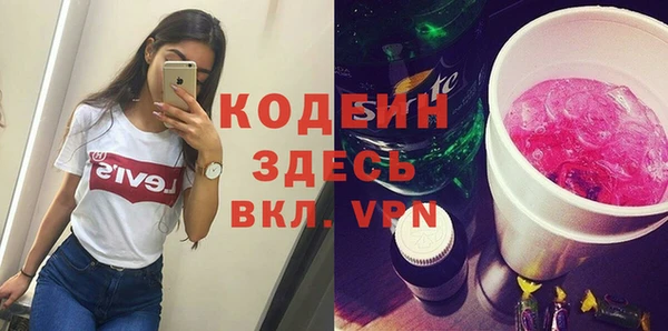 прущие грибы Алзамай