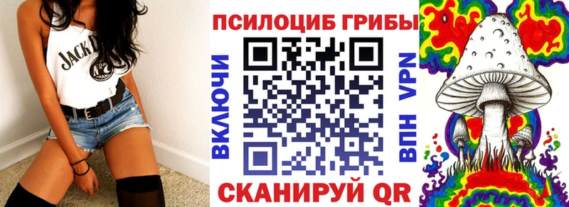 Псилоцибиновые грибы прущие грибы  blacksprut ССЫЛКА  Бабаево 